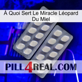 À Quoi Sert Le Miracle Léopard Du Miel 07